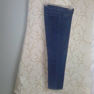 Ann Taylor Denim Straigth Leg Jeans|Size 12